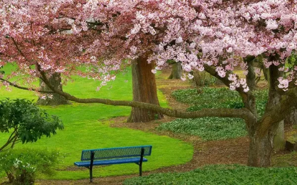  عکس طبیعت بهاری برای پروفایل