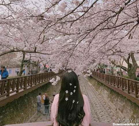  عکس پروفایل بهاری زنانه