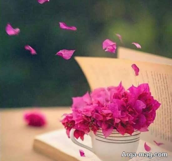  عکس بهار برای پروفایل