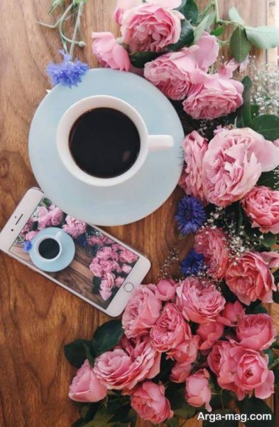  عکس بهار برای پروفایل