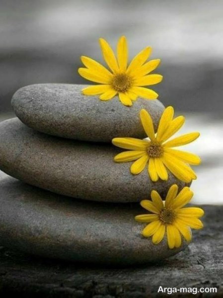  عکس بهار برای پروفایل