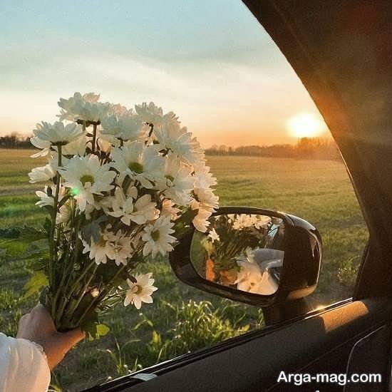  عکس بهار برای پروفایل