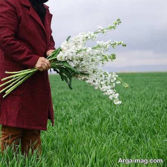  عکس بهار برای پروفایل