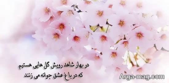  عکس بهار برای پروفایل