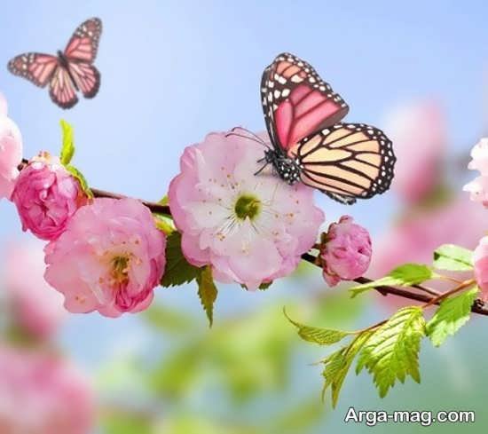  عکس بهار برای پروفایل