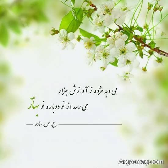  عکس بهار برای پروفایل