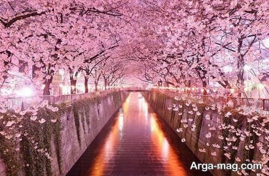  عکس بهار برای پروفایل