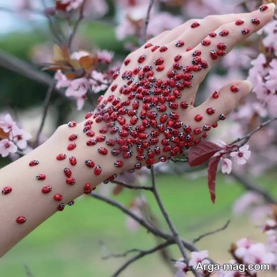  عکس بهار برای پروفایل