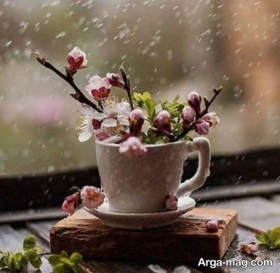  عکس بهار برای پروفایل