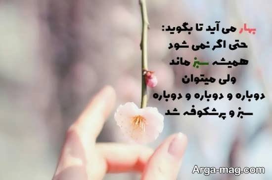  عکس بهار برای پروفایل