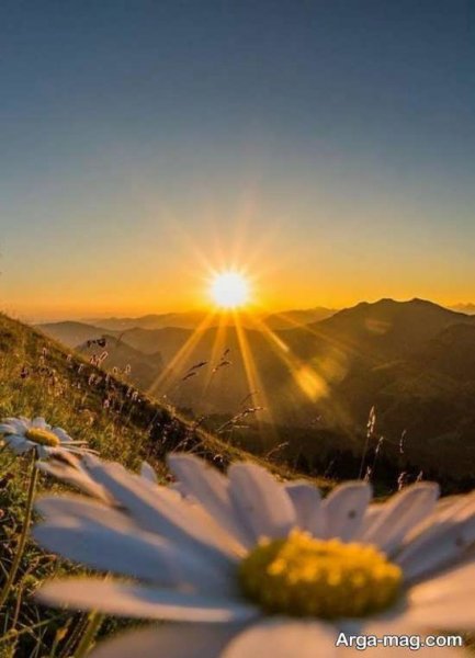  عکس بهار برای پروفایل