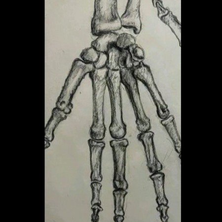  عکس نقاشی اسکلت