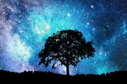  عکس درخت تنها و غمگین