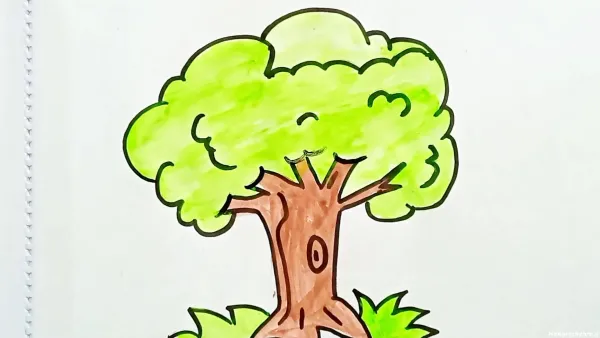  عکس درخت نقاشی