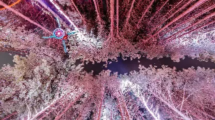  عکس درخت طبیعی