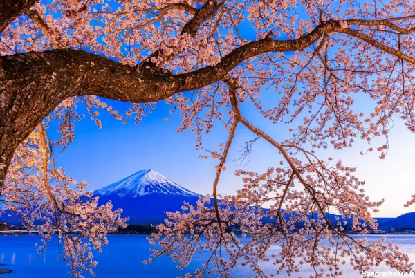  عکس طبیعت بهاری ایران