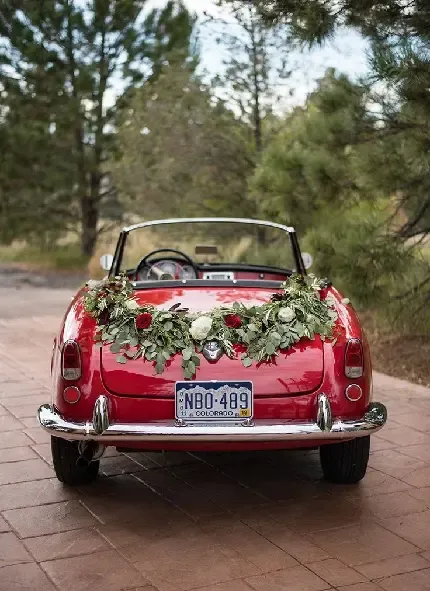  عکس عروس و داماد