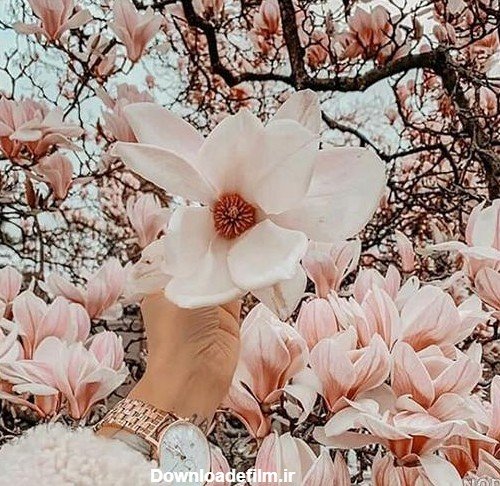  عکس عاشقانه بهاری دونفره