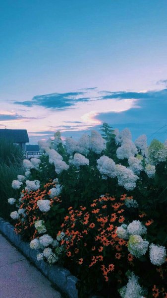  عکس پروفایل بهاری بدون متن