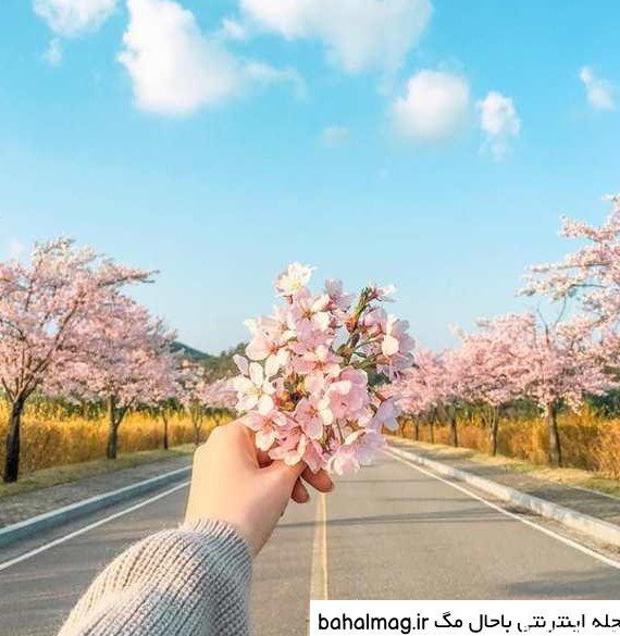  عکس دختر بهاری از پشت سر