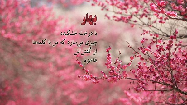  عکس دختر بهاری برای پروفایل