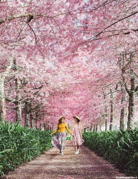  عکس بهاری دخترانه فانتزی