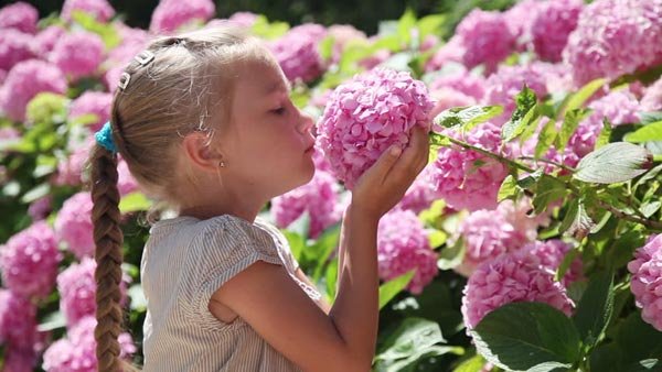  پروفایل بهاری دخترانه