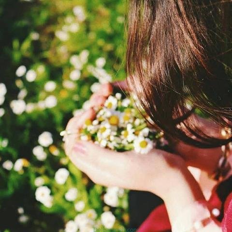 پروفایل بهاری دخترانه اینستاگرام