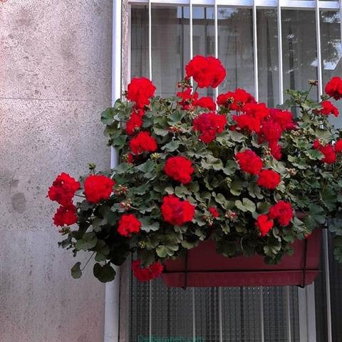  پروفایل بهاری دخترانه اینستاگرام