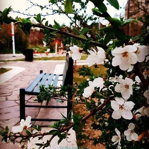  پروفایل بهاری دخترانه اینستاگرام