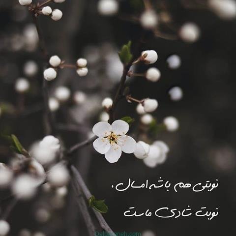  پروفایل بهاری دخترانه اینستاگرام