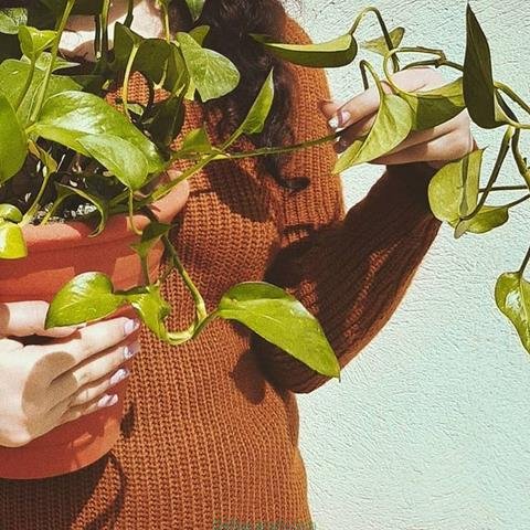  پروفایل بهاری دخترانه اینستاگرام