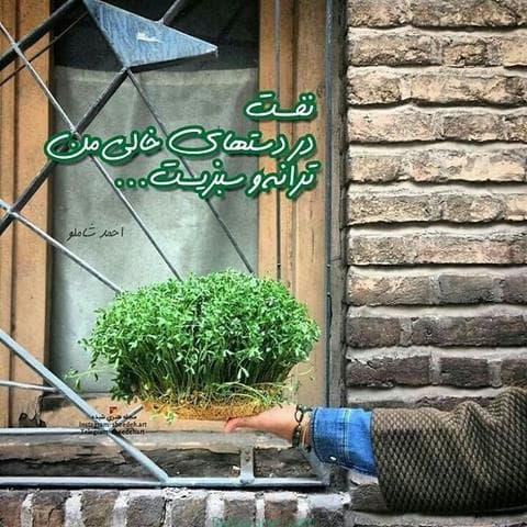  پروفایل بهاری دخترانه اینستاگرام