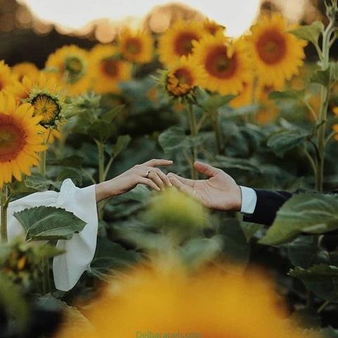  پروفایل بهاری دخترانه اینستاگرام