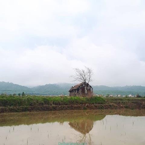  پروفایل بهاری دخترانه اینستاگرام