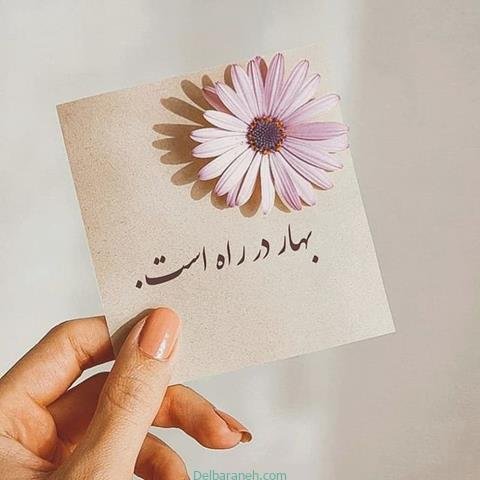  پروفایل بهاری دخترانه اینستاگرام