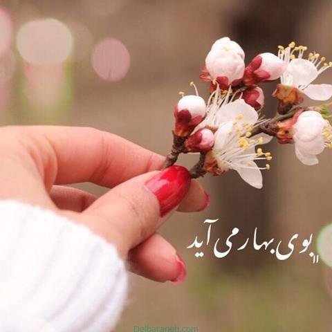  پروفایل بهاری دخترانه اینستاگرام