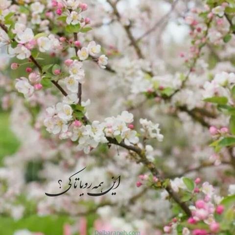  پروفایل بهاری دخترانه اینستاگرام