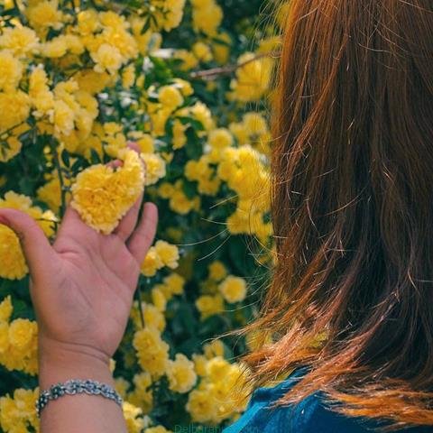  پروفایل بهاری دخترانه اینستاگرام