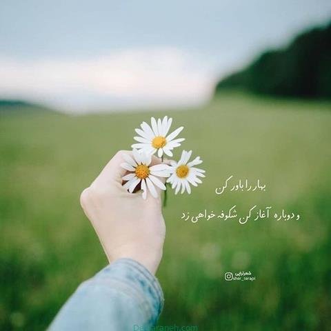  پروفایل بهاری دخترانه اینستاگرام