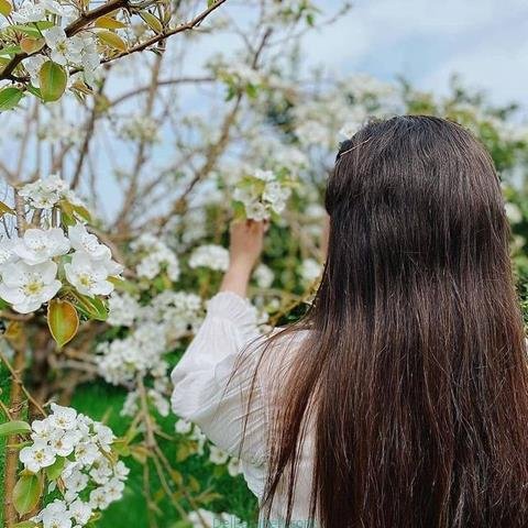  پروفایل بهاری دخترانه اینستاگرام