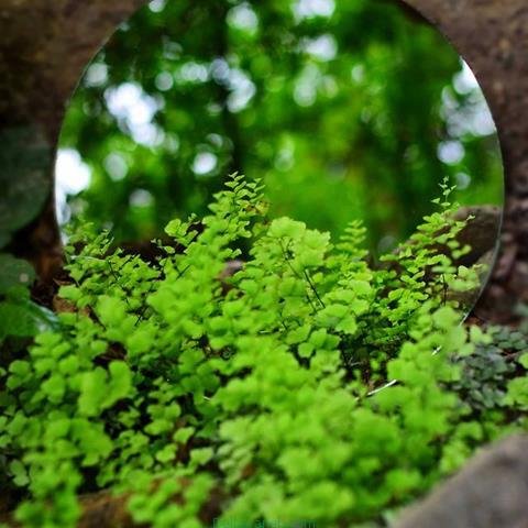  پروفایل بهاری دخترانه اینستاگرام