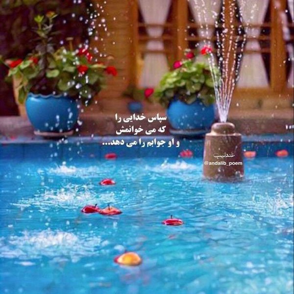  پروفایل بهاری خدایی