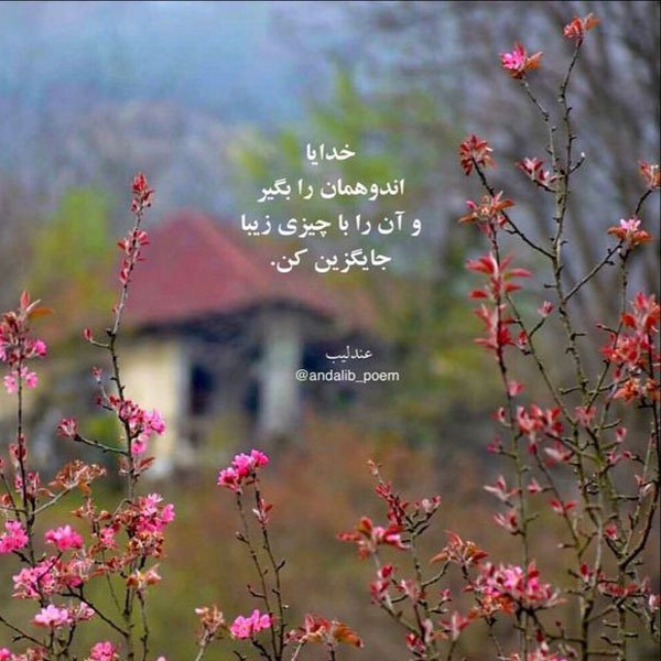  پروفایل بهاری خدایی