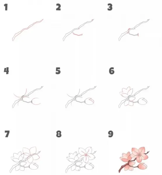 عکس شکوفه های بهاری نقاشی