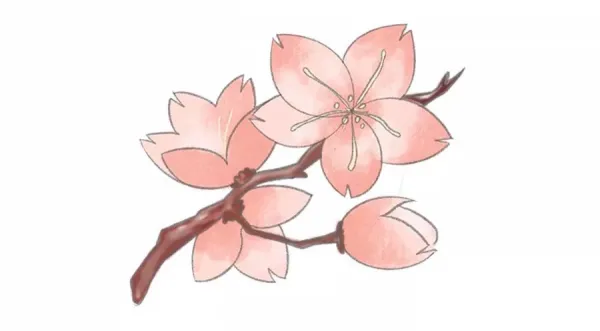  عکس شکوفه های بهاری نقاشی