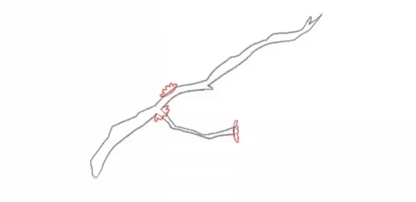  عکس شکوفه های بهاری نقاشی