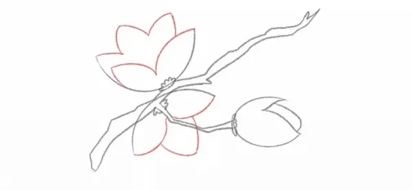  عکس شکوفه های بهاری نقاشی