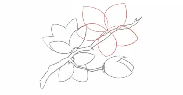  عکس شکوفه های بهاری نقاشی