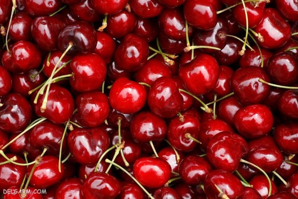 عکس گیلاس برای پروفایل